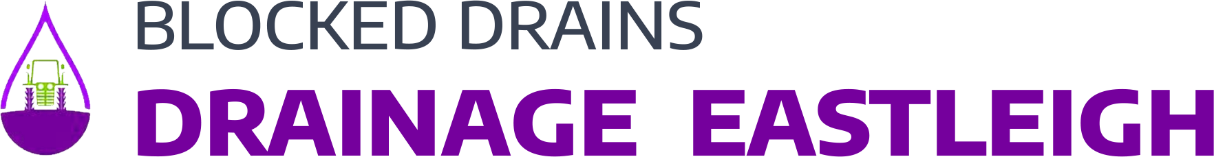 website logo